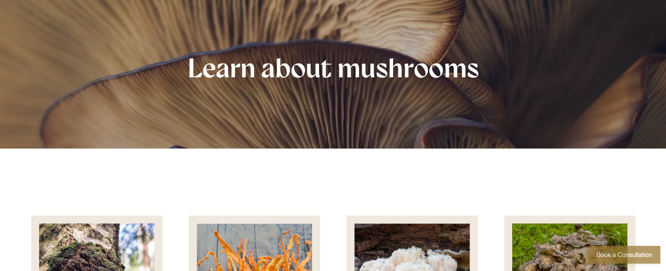 SquareSpace site redesign with code implementation and copy
